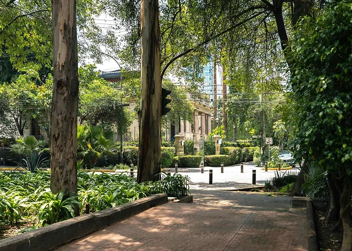 Roma Norte Loft Walk To Condesa *