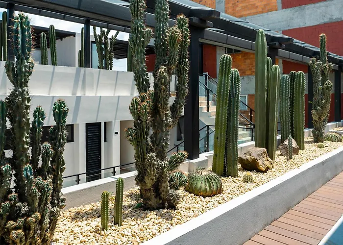 Apartamento Roma Norte Loft Walk To Condesa