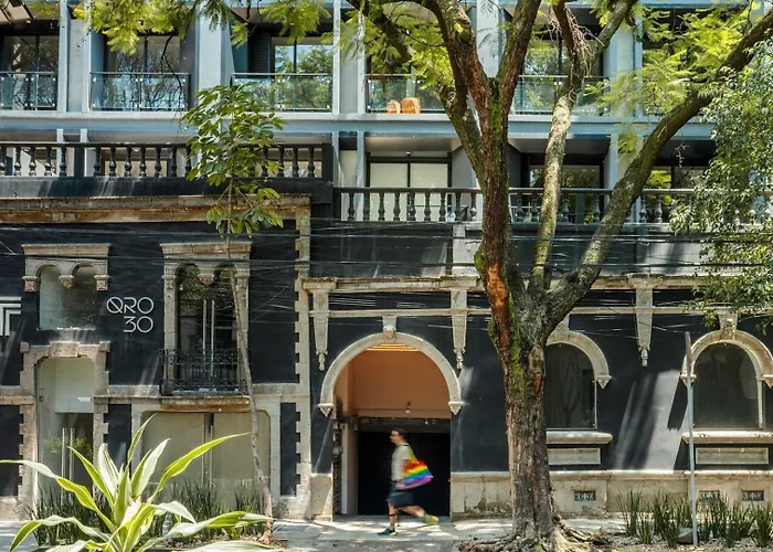 Roma Norte Loft Walk To Condesa Apartamento